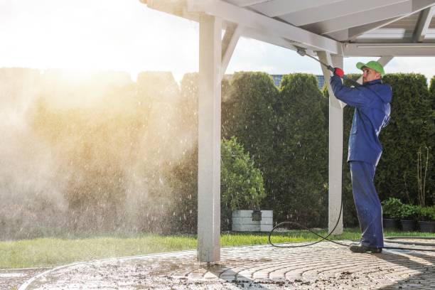 Trusted Trenton, TN Pressure Washing Services Experts